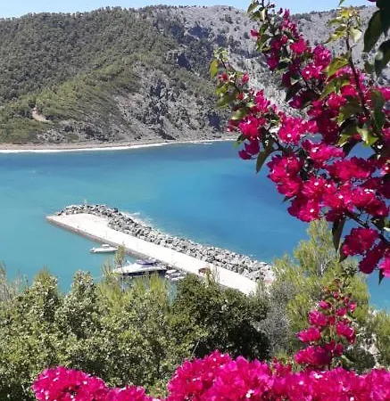 Stone House 1909 Evia Holiday home Pili (Euboea)